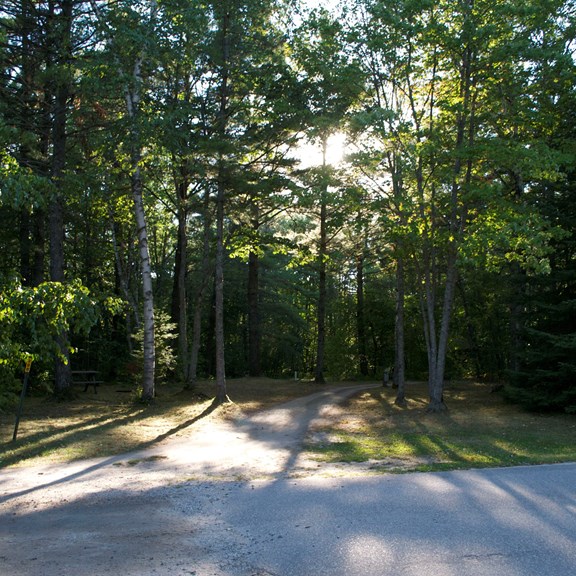 Plan a trip to Cadillac, Michigan
