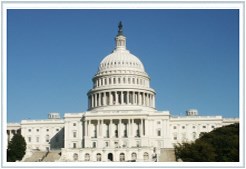 Stars and Stripes Tour to Washington DC