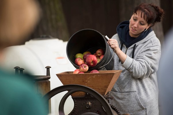 Apple Harvest Weekend #2 Photo