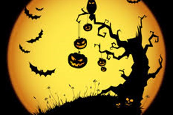 October 27-29:   Halloween Weekend #2 Photo