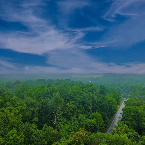 Plan a trip to Arlington, Virginia