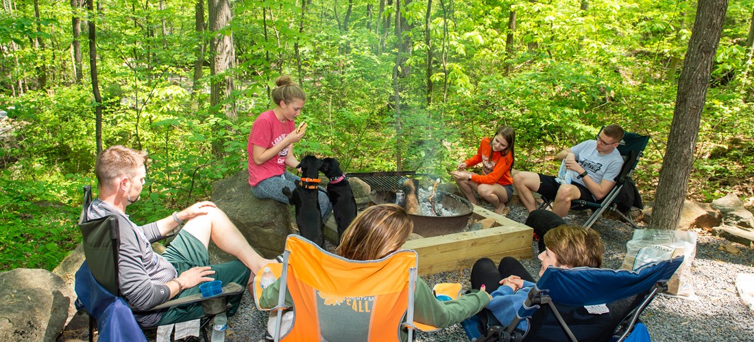 Campfire Experience
