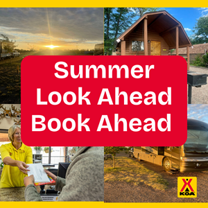 Summer Look Ahead Book Ahead