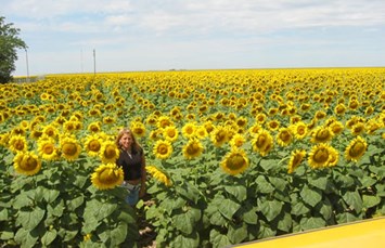 Kansas Camping Locations Koa Campgrounds