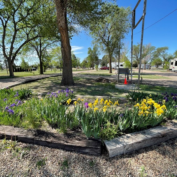 Plan a trip to WaKeeney, Kansas