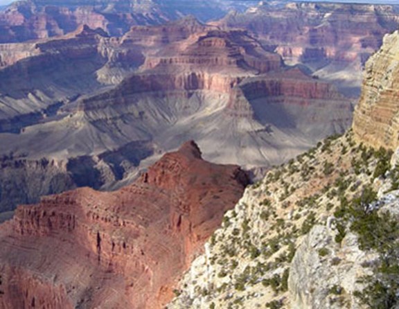 Make us your home base for visiting the Grand Canyon and Northern Arizona sight seeing!
