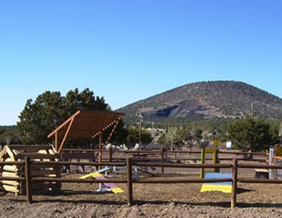 Your four legged friends will enjoy testing their agility skills in our off-leash area after a long day's drive.