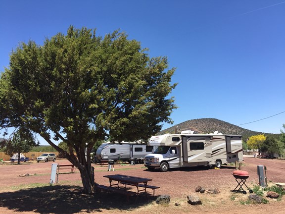 Shaded RV Site