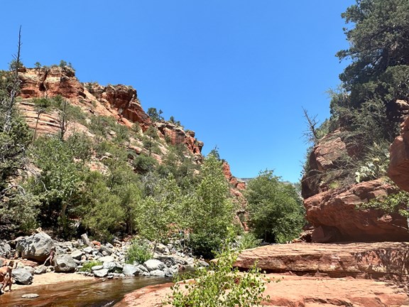 Plan a trip to Mountainaire, Arizona