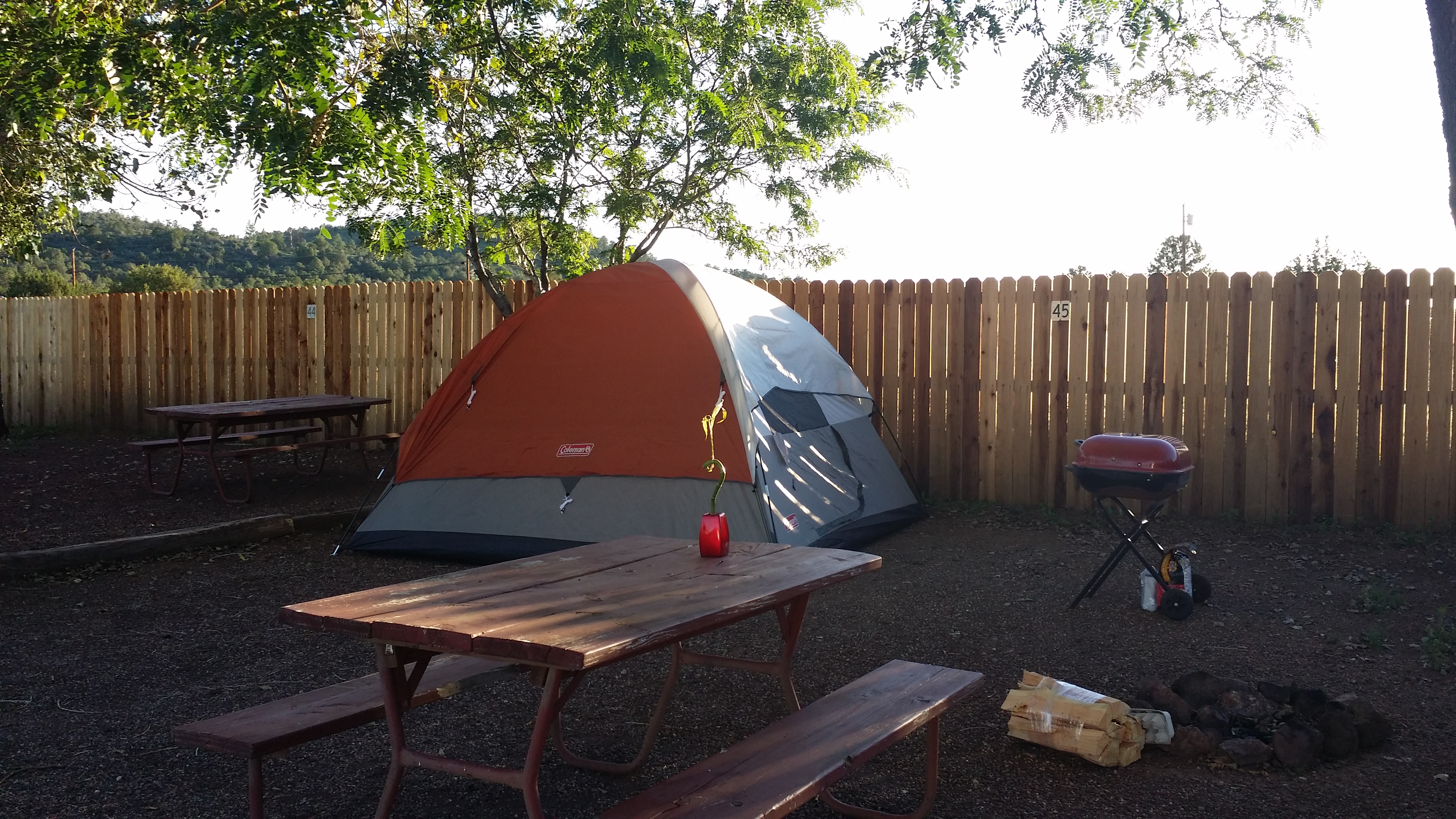 Essential Guide to Arizona Tent Camping Store – Tips, Destinations, and Expert Advice