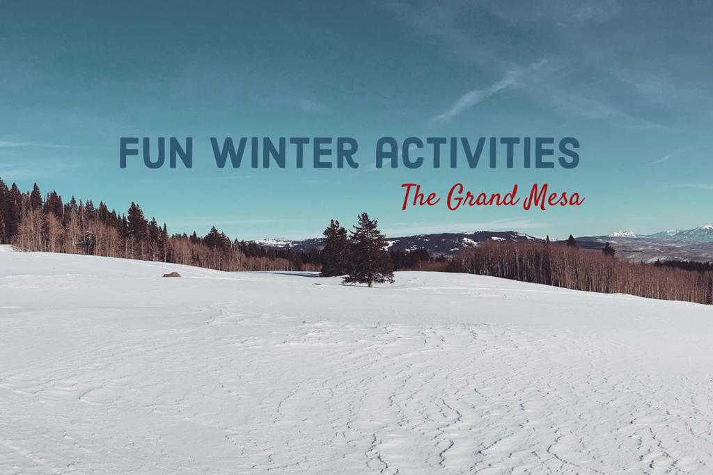 Winter Wonderland Getaway: Adventure at the Grand Mesa