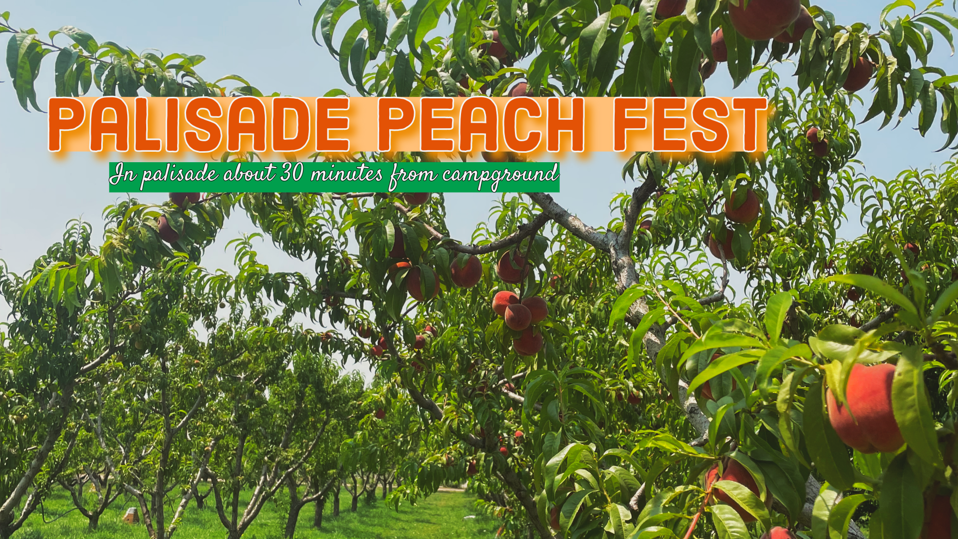 Palisade Peach Festival Photo