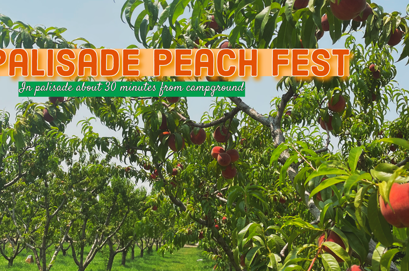 Palisade Peach Festival Photo
