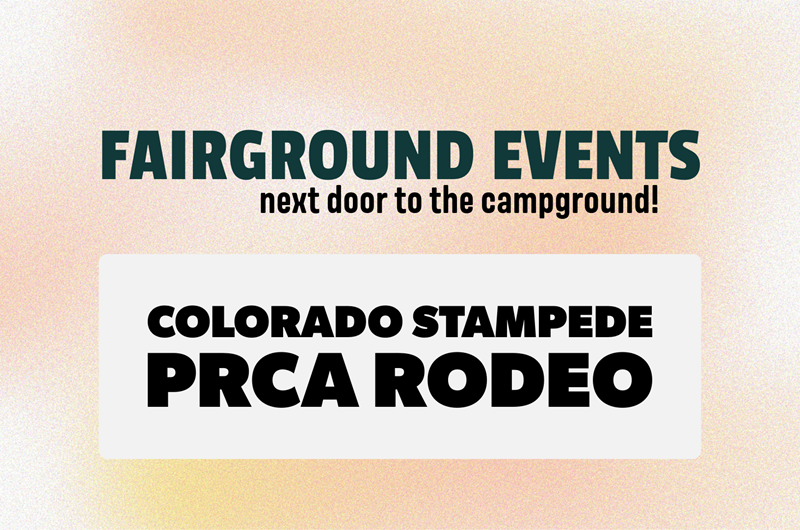 Colorado Stampede Photo