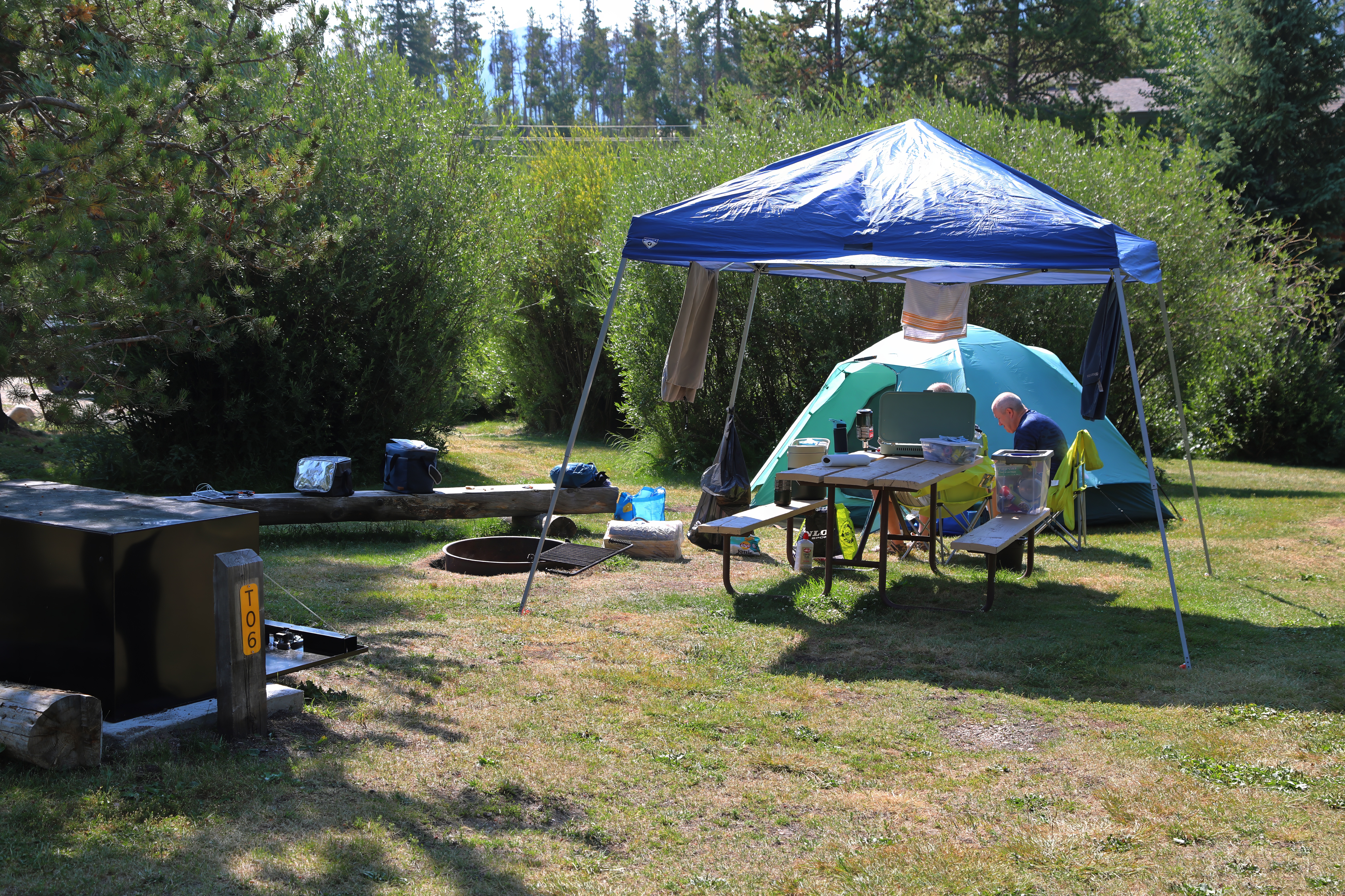 Tent 6