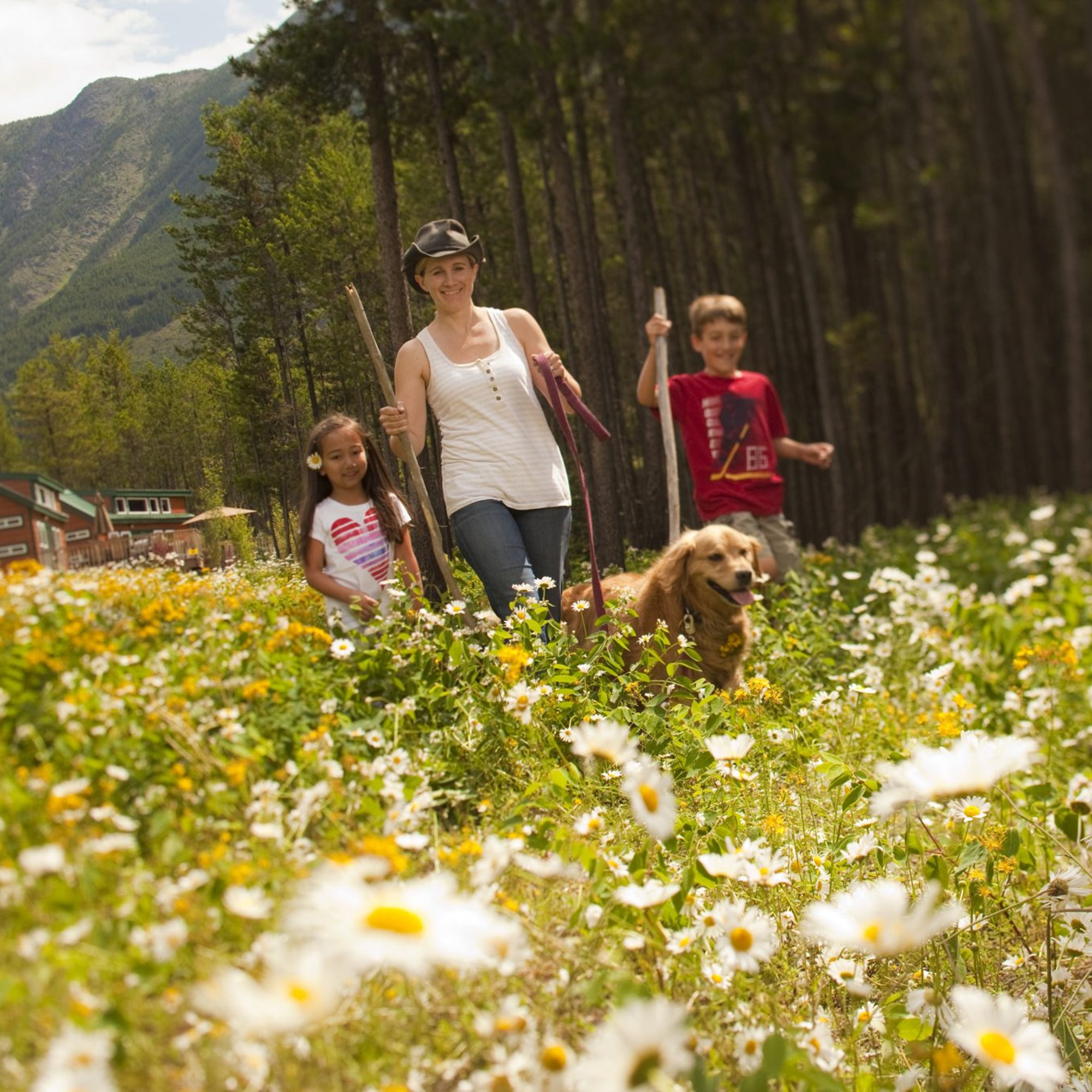 County of Grande Prairie No. 1, Alberta Area Attractions and Activities Grande Prairie KOA Journey