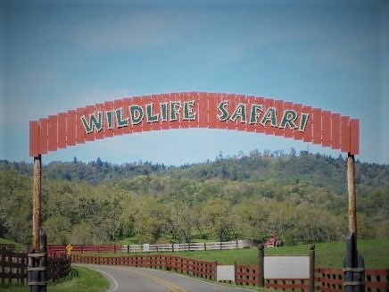 Wildlife Safari Drive through Zoo - No Dogs Allowed