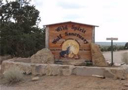 Wild Spirit Wolf Sanctuary