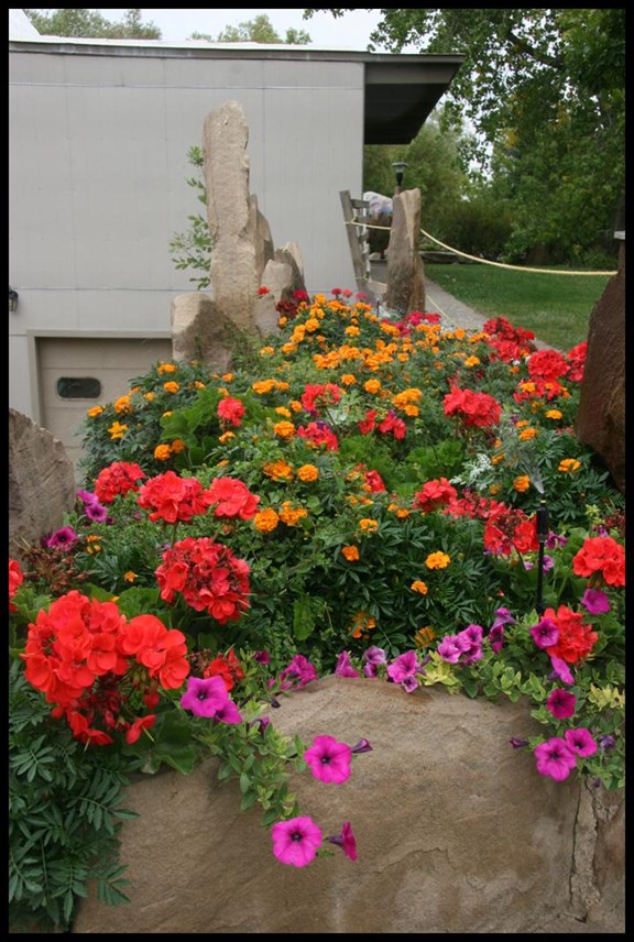 Vegetable Gardens, Flower Gardens