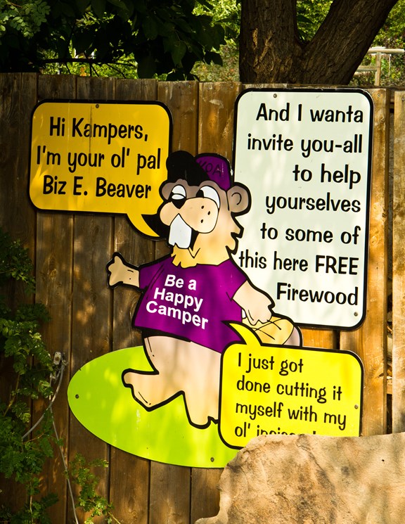 Free cookies from noon! Free firewood!
