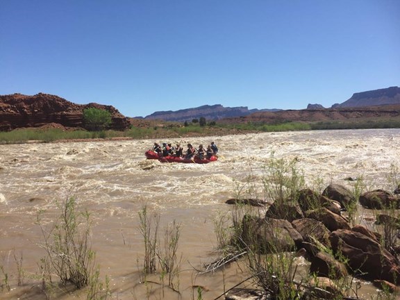 Float the Green River or Colorado River Rafting