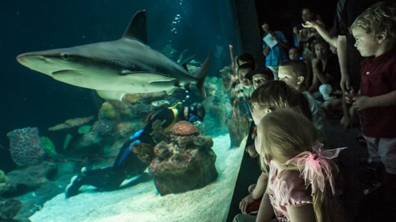 Greensboro Science Center