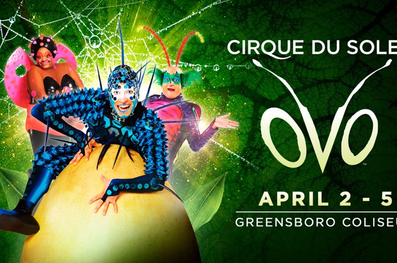 Cirque du Soleil presents OVO Photo