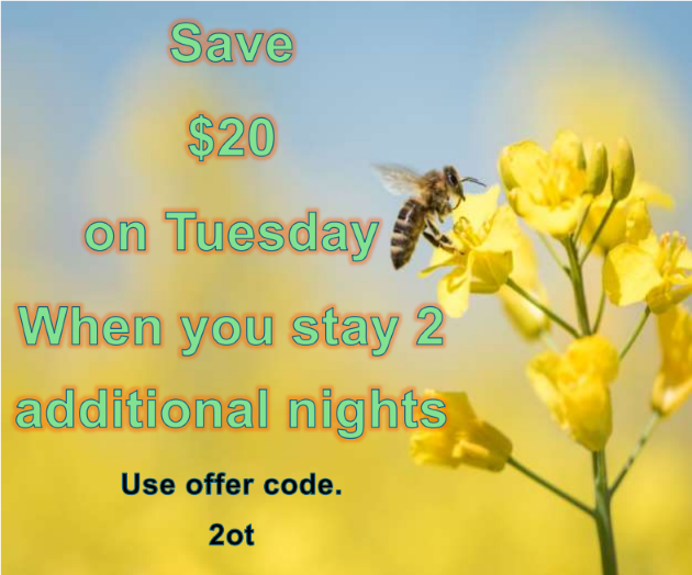 Hot Deal Image