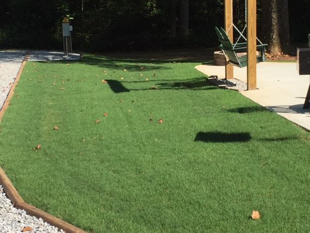 Beautiful manicured grass in KOA Patio site in new section at rear of park