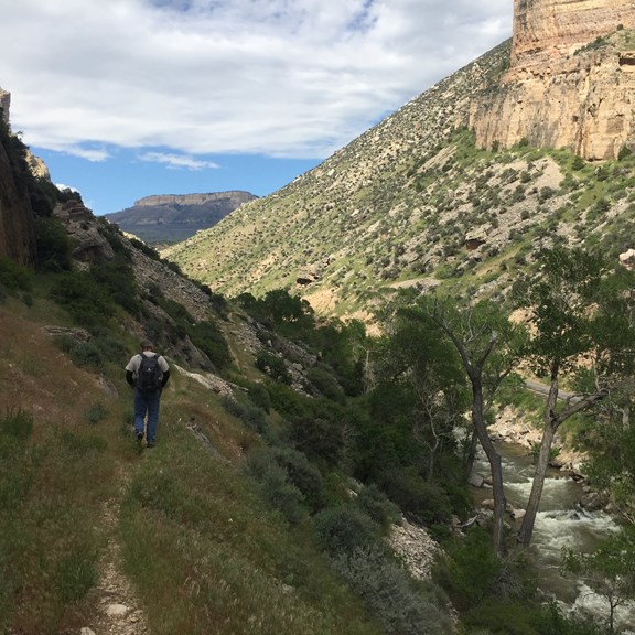 Big Horn Mountains