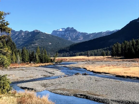 Yellowstone National Park