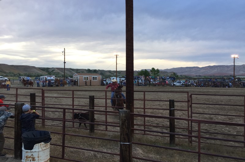 Ranch Rodeo Photo