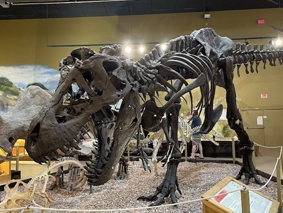 Wyoming Dinosaur Center