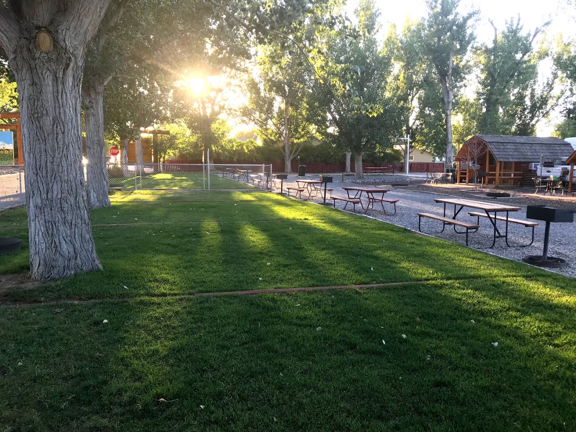 Greybull, Wyoming Tent Camping Sites Greybull KOA