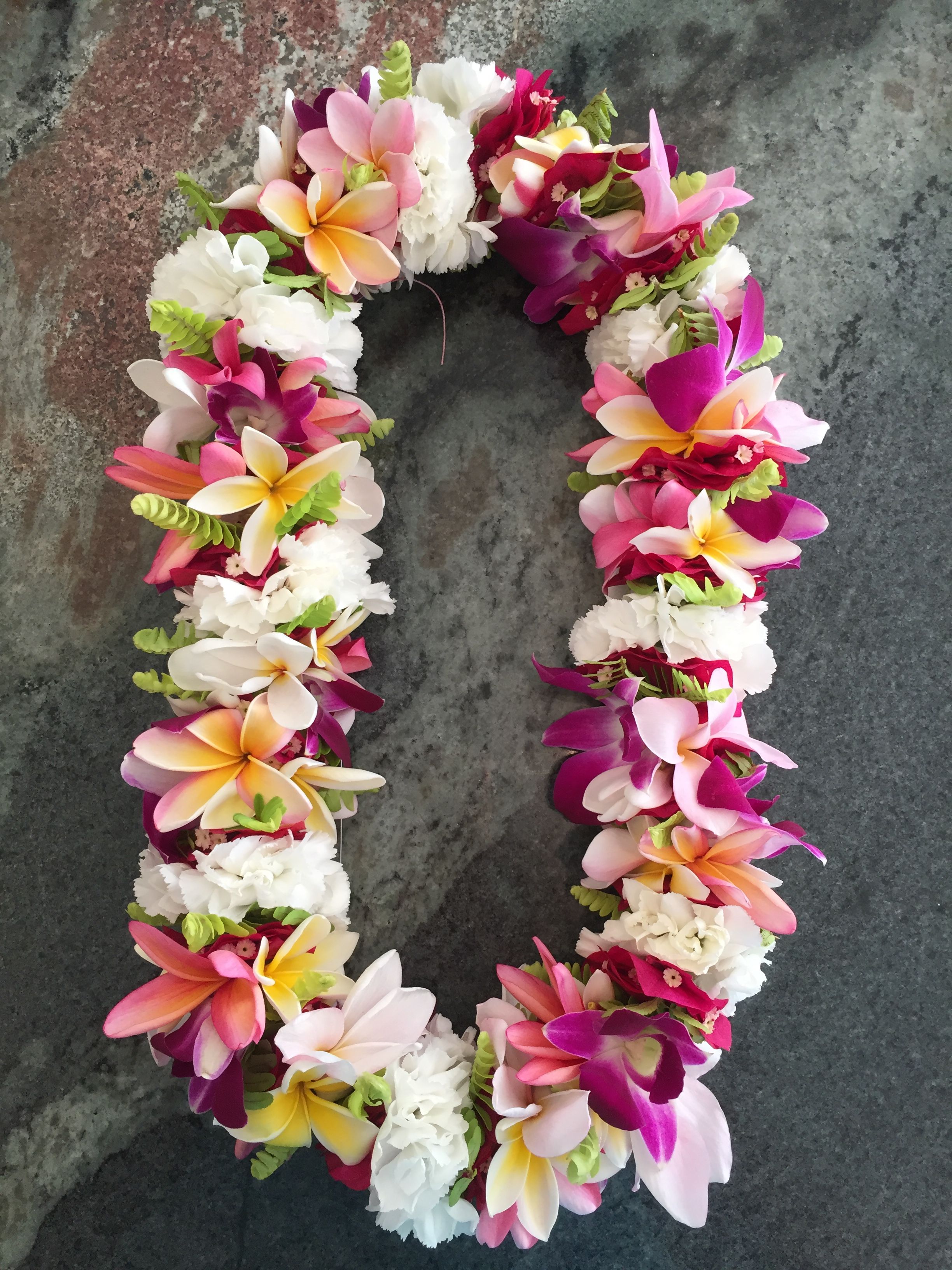 "Aloha" from Gros Morne KOA Holiday! Photo