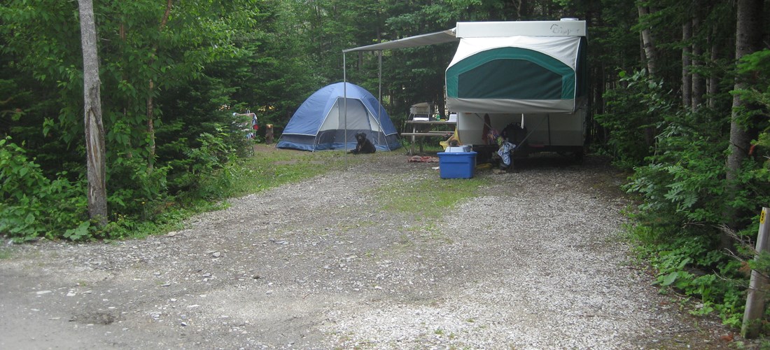 Level site, great for tenting or RV.