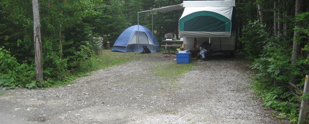 Level site, great for tenting or RV.