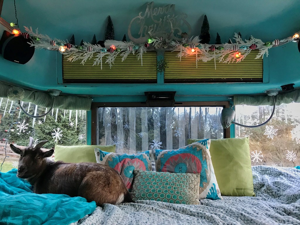 Christmas 2025: Gift Ideas For The Kamper In Your Life