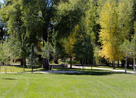 Gunnison KOA Journey