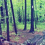 Appalachian Trail