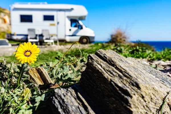 Spring into Camping! Photo