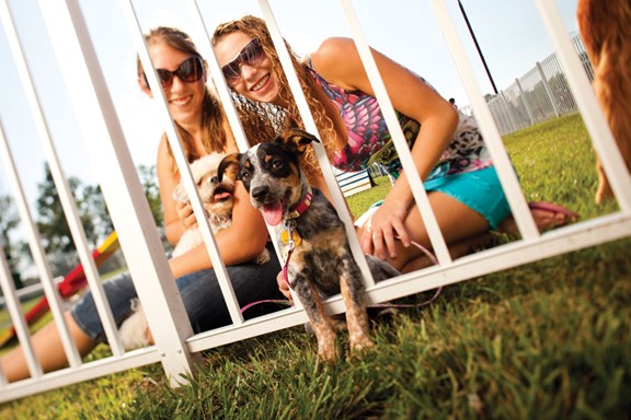 Bark Zone Dog Park