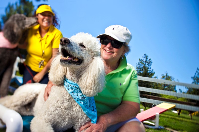 Pets Weekend Photo
