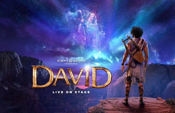 David Live on Stage