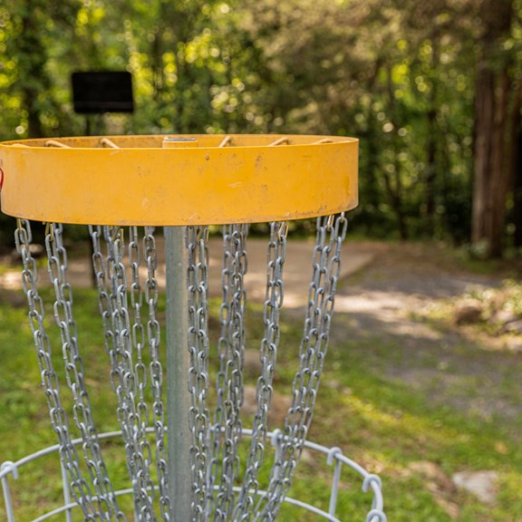 Disc Golf