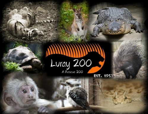 Luray Rescue Zoo