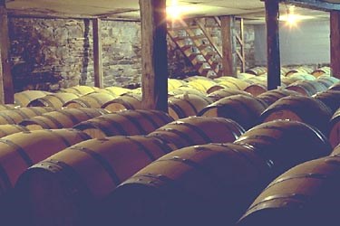 Vineyards in the Shenandoah Valley