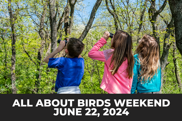 All About Birds Weekend Photo
