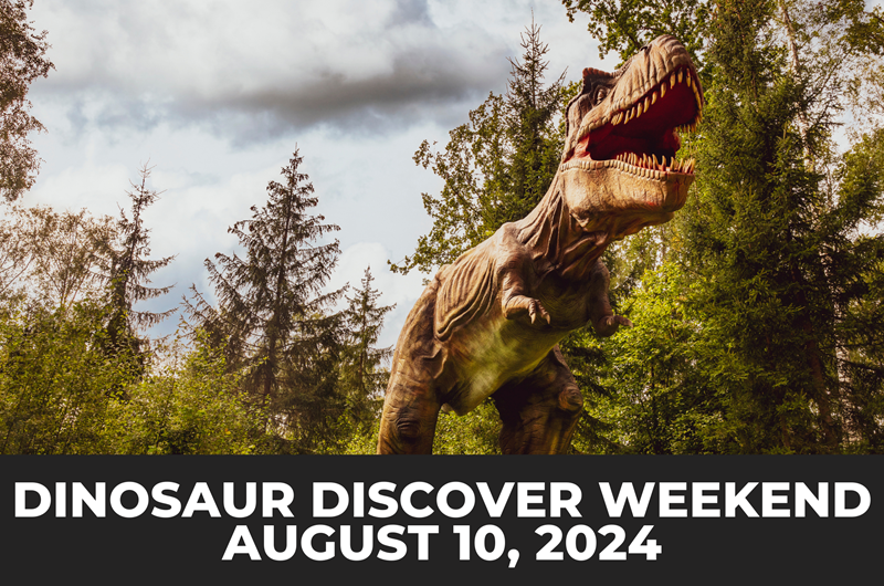 Dinosaur Discovery Weekend Photo