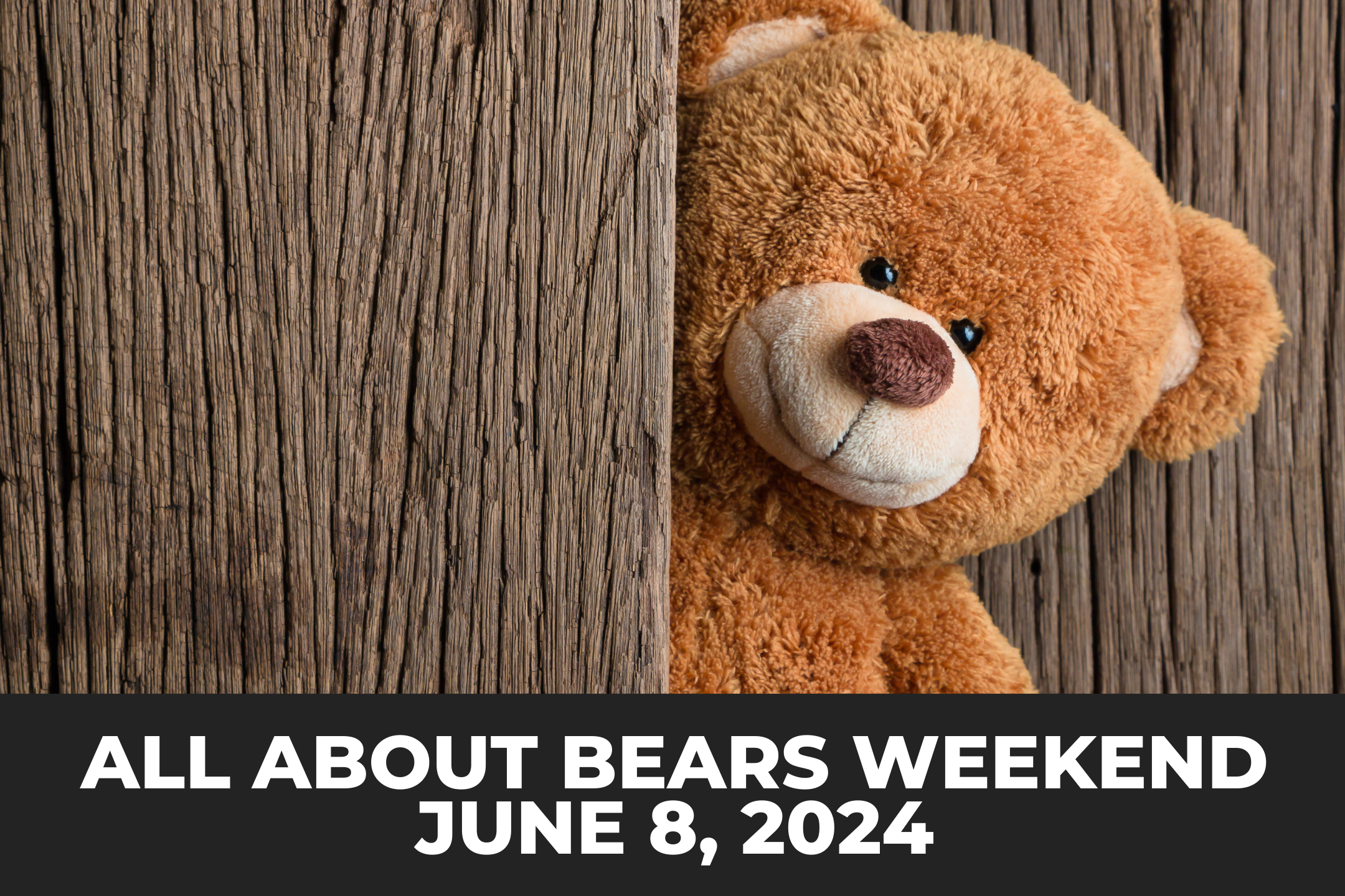All About Bears Weekend - Photo 2